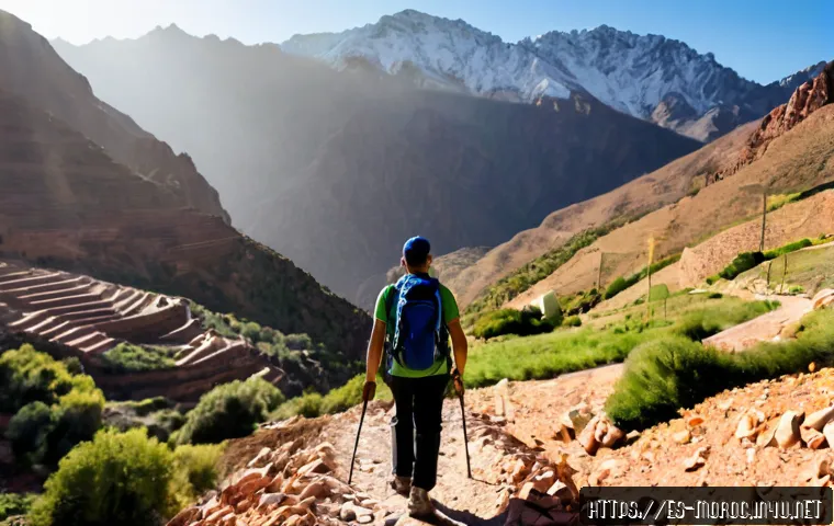 Home 17 모로코에서 등산 및 트레킹 - Photorealistic wide-angle scene of two adult hikers trekking along a rocky trail in Morocco’s Atlas ...